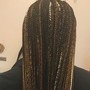 Comb Twist