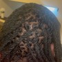 Tree Braids