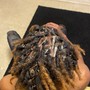 Root Touch Up