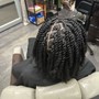 Comb Twist/ Coils