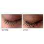 Strip Lashes