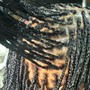 Root Touch Up