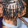 two strand twists/microtwists (full head)