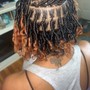 two strand twists/microtwists (full head)