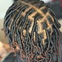 Loc Extensions (Hair Included)