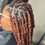 Loc Extensions (Hair Included)