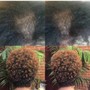 GODDISS PACKAGE for Natural Hair