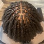 Mid-back Butterfly Locs