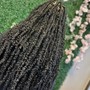 Large Goddess Knotless Braids