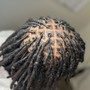 Starter Locs