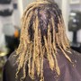 Root Touch Up