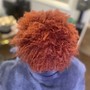 Root Touch Up