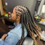 Medium Individual Box Braids/ 2 Strand Twist