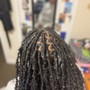 Starter locs coil - to ear