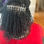 Microtwist Extensions