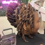 Two Strand Twist Starter Loc