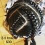 2-5 Men/Women Braids