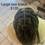 Box Braids pre parts