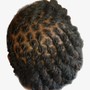 2 Strand Twist- Wet