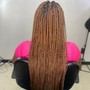 Knotless Braids (Pass Bottom)