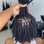 Root Touch Up