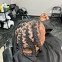 Double strand Loc Extensions