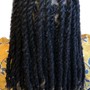 Loc Extensions Balance- up to 60 Locs