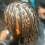 Starter Locs