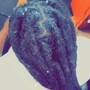 Marley Twist