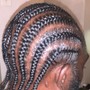 Two Strand Twist ( for locs)