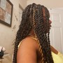 Wig Braids down