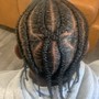 Partial/tribal/feed in braids with sew in