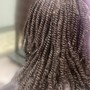 Locs  Color service only (no Retwist included)