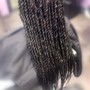 Island Twists or Rope twists ( Shampoo and hair included