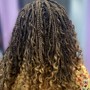 Spring Twists ( shampoo and hair included )