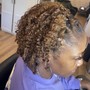 Root Touch Up