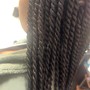 Passion Twists waist length