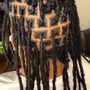 Loc Retwist Only