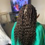 (Entire head) Soft/Butterfly Locs Touch Up