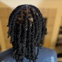 Two strand starter locs