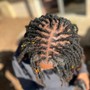 Two strand starter locs