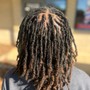 Two strand starter locs