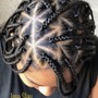 Twist /box braids (natural) 1/2 head