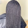 Popular goddess braids