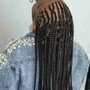 Stitched Braids( 6-8 braids)