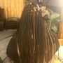 Box Braids