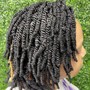 Havana Twists