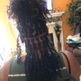 Senegalese Twist