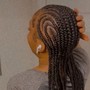 Feed-In Braids