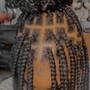 Feed-In Braids